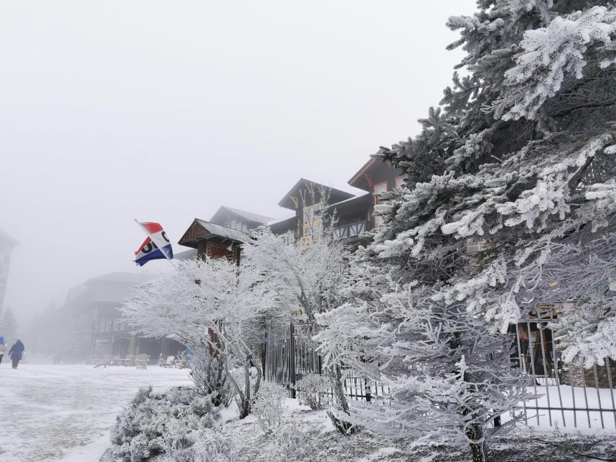 Gorgeous House For Ski Retreat Or Mountain Vacations Сноушу Екстер'єр фото